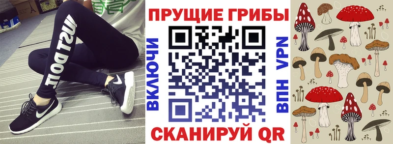 Псилоцибиновые грибы Psilocybine cubensis  Харабали 